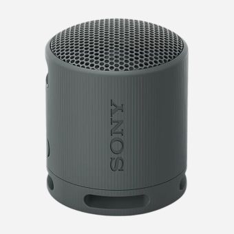 Sony SRS-XB100